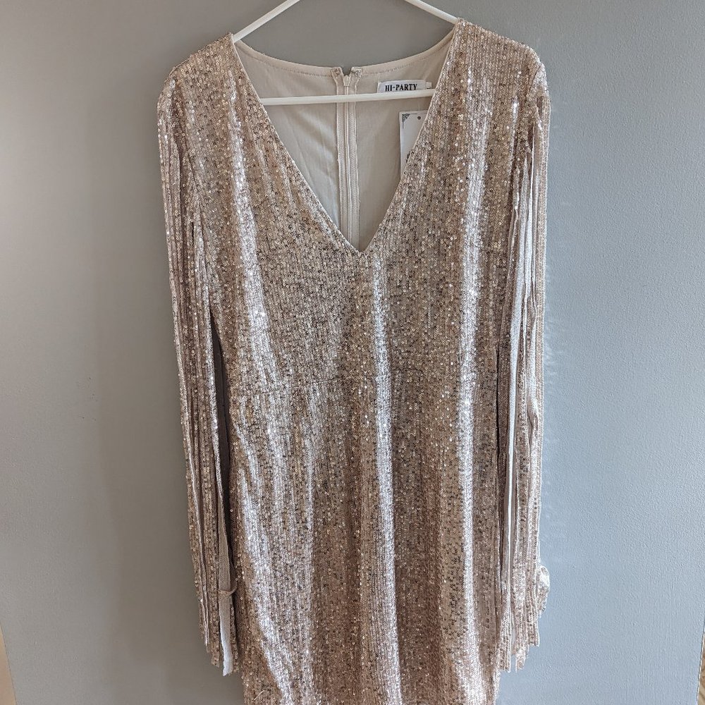 Stunning Brand New Sequin Dress